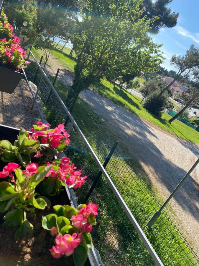Mobile Home Biondina Camp Porton Nature Hideouts *