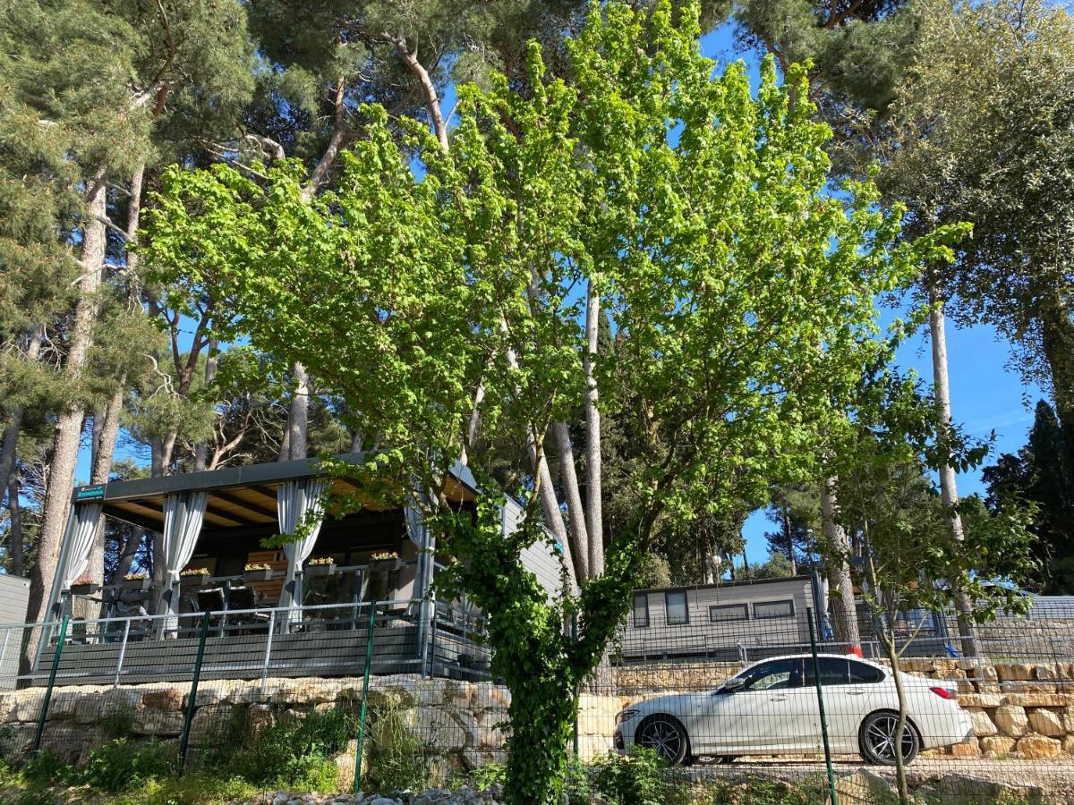Mobile Biondina Camp Porton Biondi Campsite